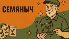 Картинка Безопасность по Семянычу: система, которая защищает урожай